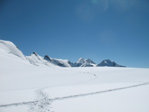IMG_5861